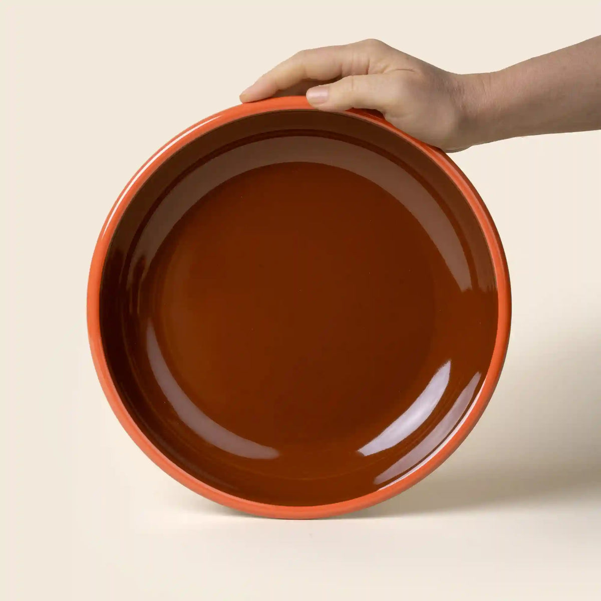 Solid Enamel Dinner Plate