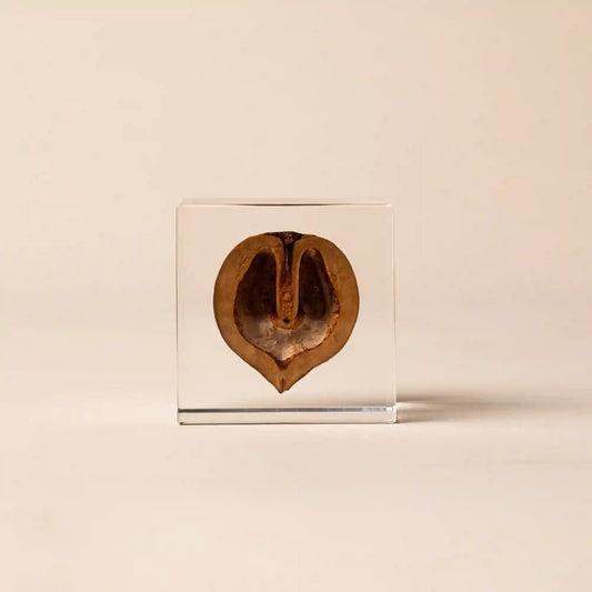 Sola Cube