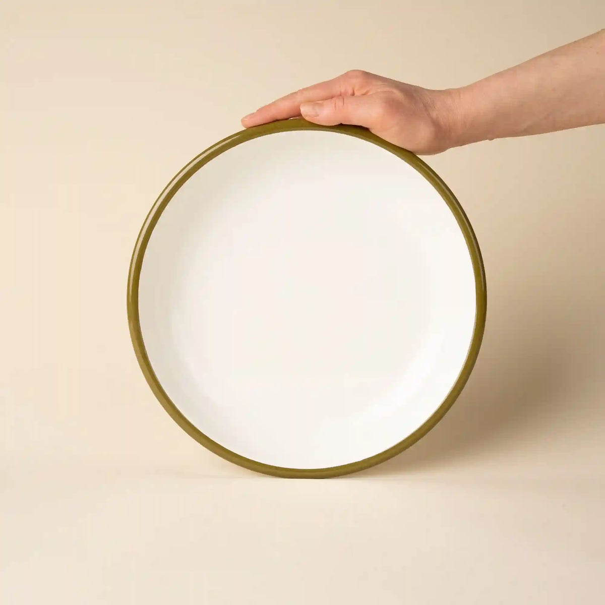 Solid Enamel Dinner Plate