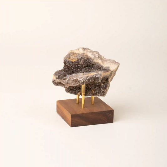 Brilliant Petrified Wood