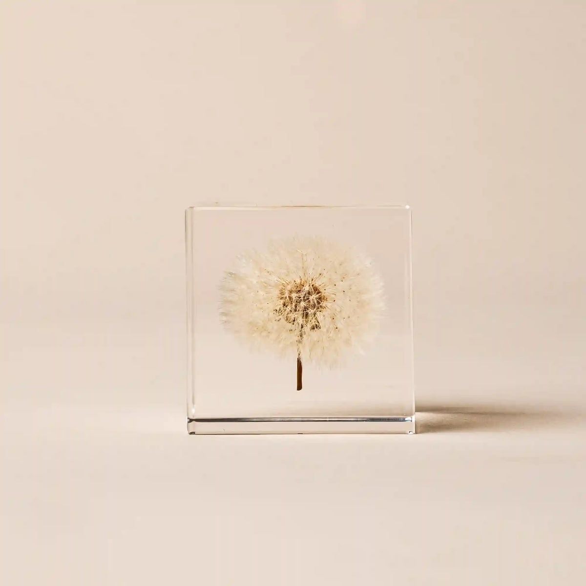 Sola Cube