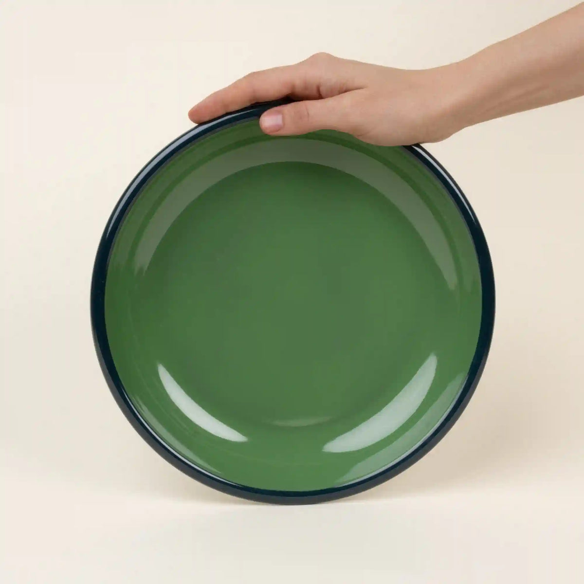 Solid Enamel Dinner Plate